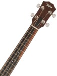 Taylor GS Mini-e Bass