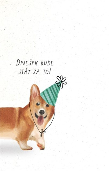 Přání k narozeninám - Corgi - Albi