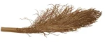Lucky Reptile Palm Torch 30-40 cm (FP-64071)