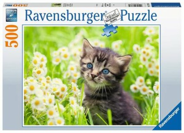 Ravensburger Kotě na louce