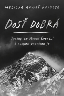 Dosť dobrá - Melissa Arnot Reidová