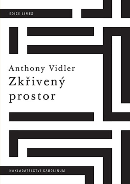 Zkřivený prostor - Anthony Vidler