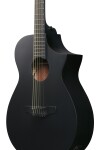 Ibanez AEWC621 Black Out