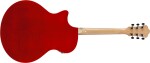 Ibanez AE170R Natural