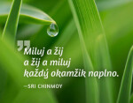 Magnet na lednici - Miluj a žij a žij a miluj každý okamžik naplno. - Sri Chinmoy