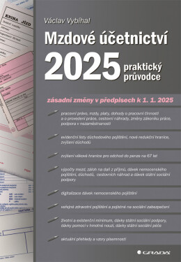 Mzdové účetnictví 2025 - praktický průvodce - Václav Vybíhal