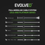 EVOLVEO G650, zdroj 650W, 80+ GOLD, ATX 3.1, aPFC, 140 mm ventilátor, plně modulární, záruka 3 roky, černý