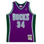Mitchell & Ness Pánský dres Milwaukee Bucks NBA Ray Allen #34 2001-02 Swingman Velikost: M