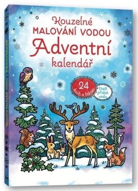 Kouzelné malování vodou Adventní kalendář - Abigail Wheatley