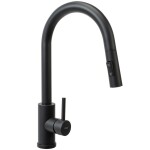 REA - Kuchyňská baterie Fresh Touch Black Matt REA-B6734