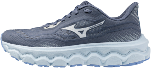 Běžecké boty Mizuno WAVE HORIZON 9 J1GD262622 Velikost obuvi v EU: 40,5