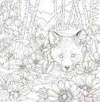 Symphony of Cute Animals, antistresové omalovánky z Japonska, Kanoko Egusa