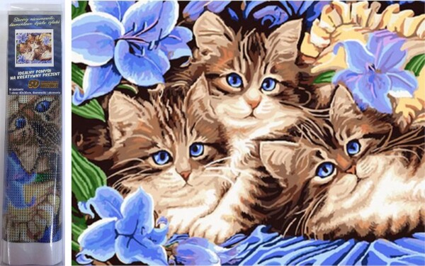Norimpex Diamantové malování Tři koťata v květinách 30x40cm