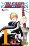 Bleach