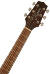 Takamine GD11MCE-NS