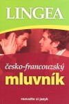 Česko-francouzský mluvník, 1. vydání - autorů kolektiv