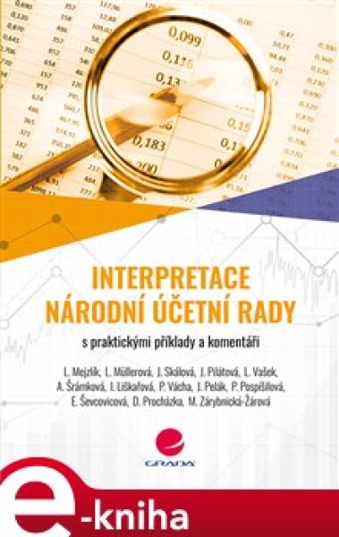 Interpretace Národní účetní rady. s praktickými příklady a komentáři - kol. e-kniha