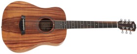 Taylor BTe-Koa