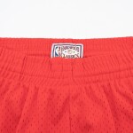 Mitchell & Ness Pánské kraťasy New Orleans Pelicans NBA New Orleans Hornets 2006-07 Swingman Shorts Velikost: L
