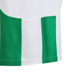 Tričko adidas Striped 24 Jr IW2138 164cm