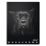 Školní sešit linkovaný 544 Pigna Monocromo Black A5