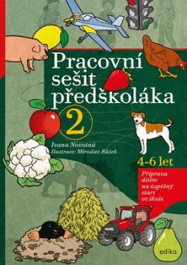 Pracovní sešit předškoláka Ivana Novotná, Miroslav Růžek