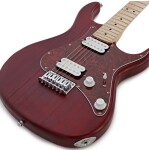 Cort G100 HH OPBC