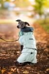 Fino zimní bunda pro psa s vestavěným obojkem Barva: Zelená, Délka zad (cm): 30 - 33, Obvod hrudníku: 42 - 48 cm