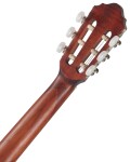 Cort AC200 3/4 OP