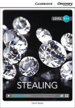 Stealing High Beginning Book with Online Access - David Maule
