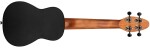 Ortega K2SS-BKC