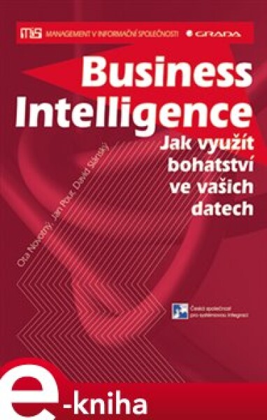 Business Intelligence. Jak využít bohatství ve vašich datech - David Slánský, Jan Pour, Ota Novotný e-kniha