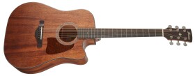 Ibanez AW1040CE Natural