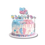 Dortisimo Zápich do dortu Boy or Girl?