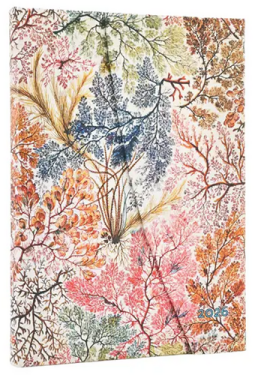 2026 DP 12 / Anemone / Midi / Vertical