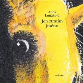 Jen ztratím jméno - Anna Luňáková