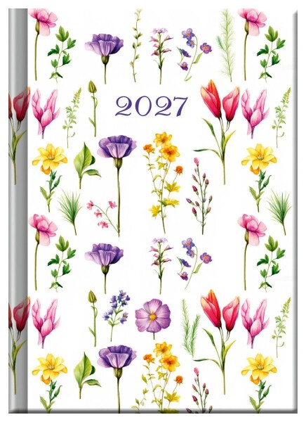 Praktik denní diář 2027 - LOUKA (A6)