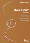 Studie Etudy
