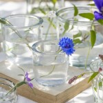 Ib Laursen Skleněná váza Thick Edge 9 cm, čirá barva, sklo