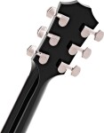 Taylor T5z Pro Grapevine