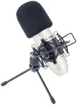 Aurasonic SC 100