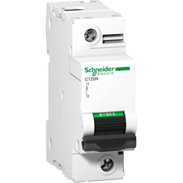 Schneider Electric A9N18358 A9N18358 elektrický jistič 100 A 144 V/DC