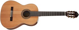 Ortega R20GWN