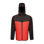 Pánská bunda Regatta Modular Thermal TRA517 92F