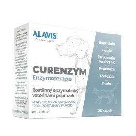 Alavis Enzymoterapie 20 tbl