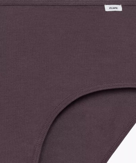 Kalhotky Atlantic 3CLP-011/Z25 Maxi A'3 M-2XL béžovo-vínovo-fialová XXL