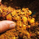 Chytil Methodmix 1kg - Robin Red,Chytil Methodmix 1kg - Robin Red