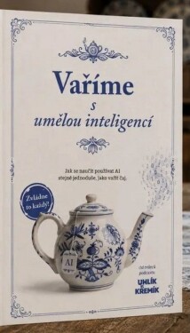 Vaříme s umělou inteligencí - Jak se naučit používat AI stejně jednoduše, jako vařit čaj - David Salomon