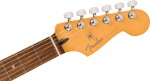 Fender Player Plus