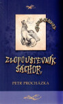 Šáchor Petr Procházka,